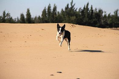 《WWE 2K23》海量细节 约翰·塞纳深度参与本作